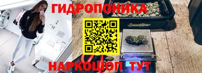 прущие грибы Нарткала