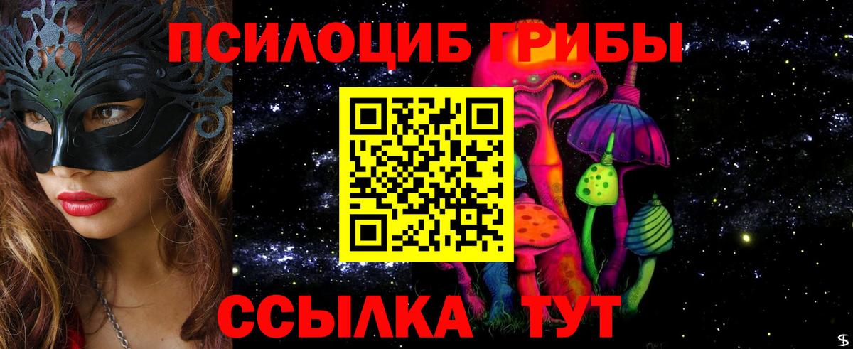 Галлюциногенные грибы мицелий  Галлюциногенные грибы прущие грибы  Свободный  Вход с VPN 